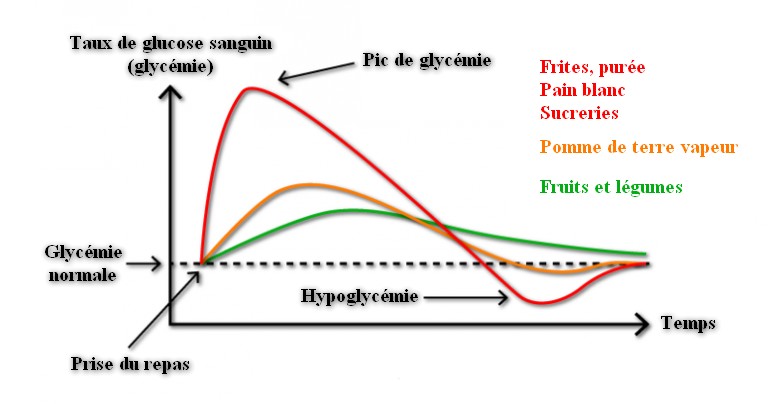 pic de glycémie - prise de poids